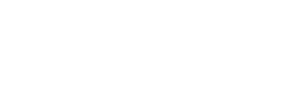 Shared.Domains logo